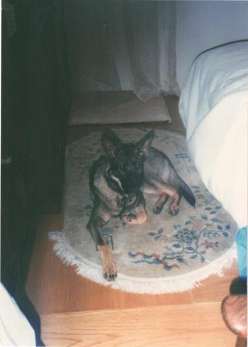 BRN3C2AF4AB96A8_005938