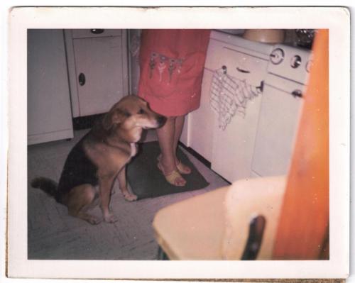 BRN3C2AF4AB96A8_005954