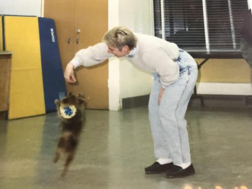 Arlene working with Dandy in dog training class.